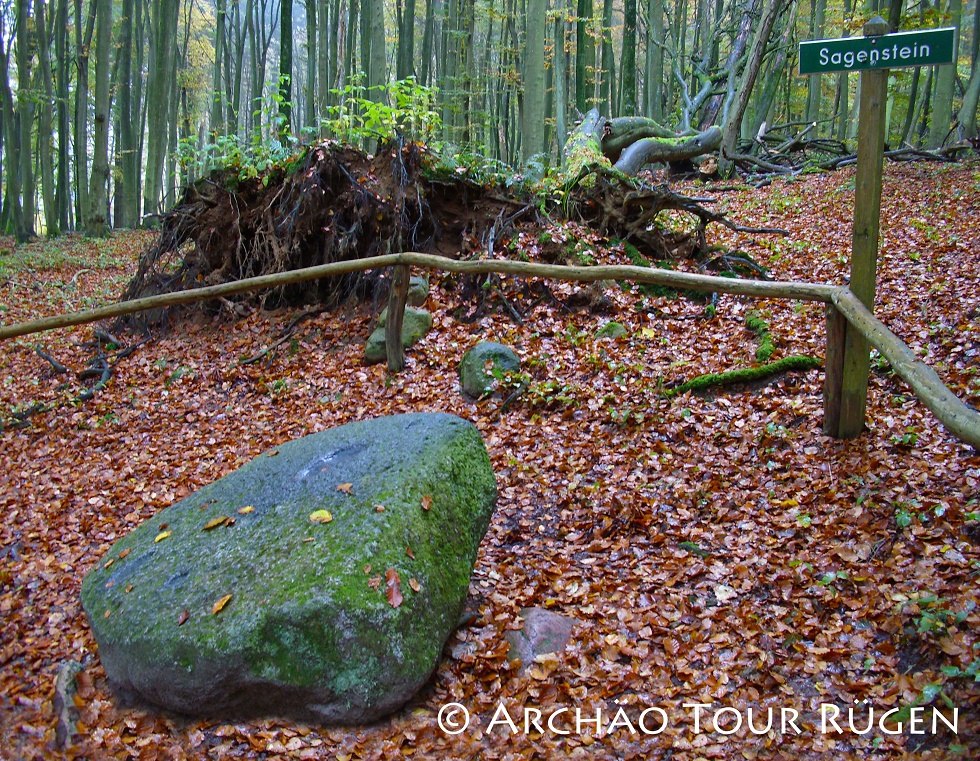 versteckt in Laubwald liegt der sagenumwobene Stein // © Archäo Tour Rügen versteckt in Laubwald liegt der sagenumwobene Stein // © Archäo Tour Rügen