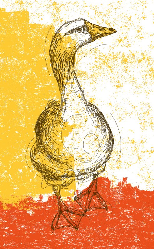 Gans ganz lecker // © Strandhotel Ostseeblick Gans ganz lecker // © Strandhotel Ostseeblick