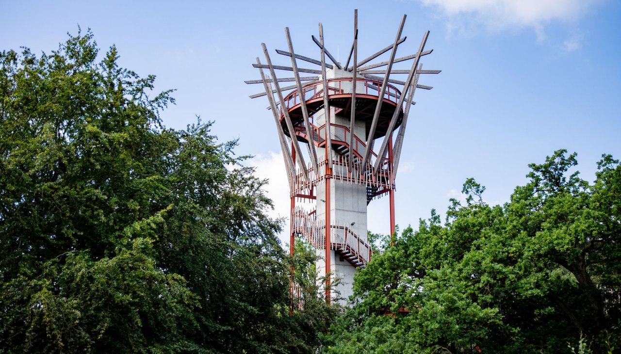 aussichtsturm1, © Landesforst MV aussichtsturm1, © Landesforst MV