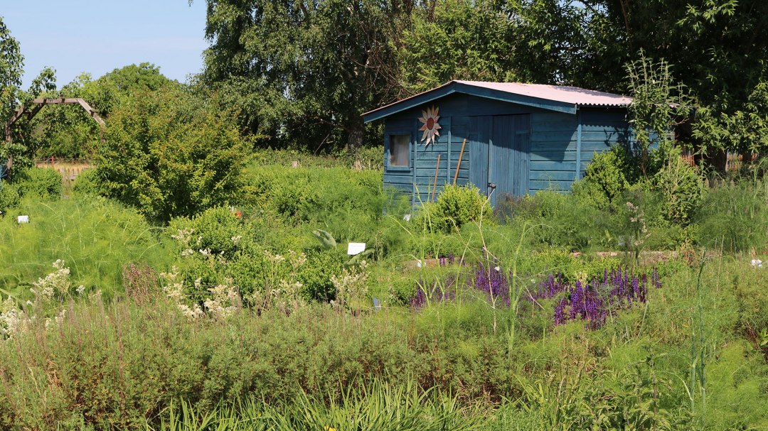 Luplower Kräutergärtnerei, © Silke Voss