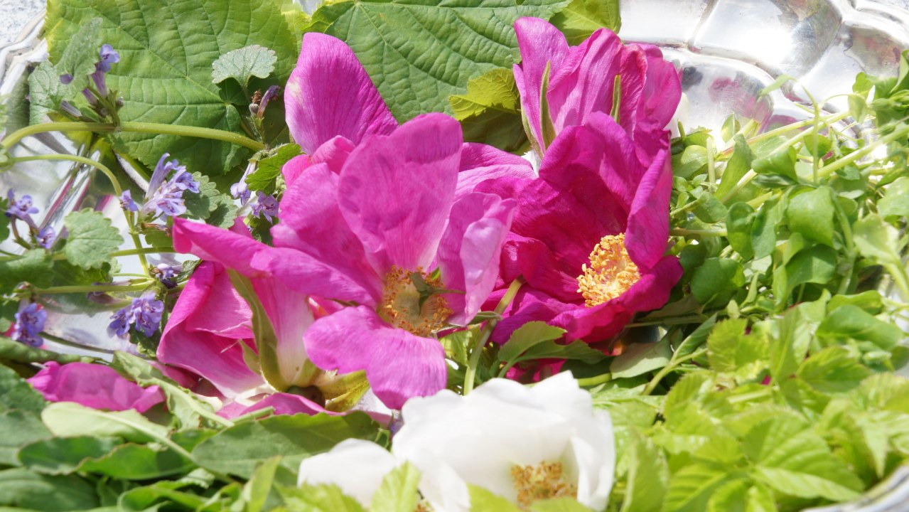 © Jana Plewa © Jana Plewa