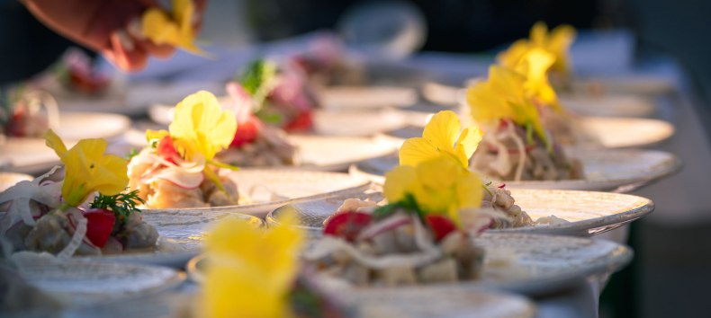 Dinner im Gew&auml;chshaus auf Gut Rosengarten // &copy; Stefan Pocha