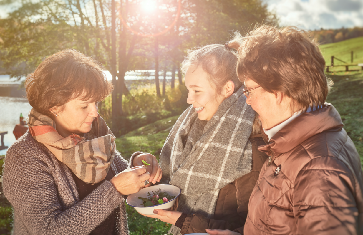 liebstöckel, © MV-T/Pocha.de liebstöckel, © MV-T/Pocha.de