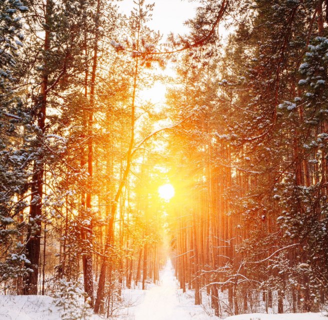 © Yvonne Schiwik © Yvonne Schiwik