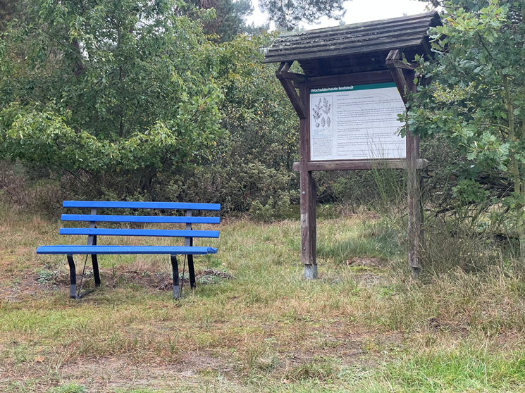 Drei Katen Wacholder, &copy; TZ S&uuml;dliche Boddenk&uuml;ste