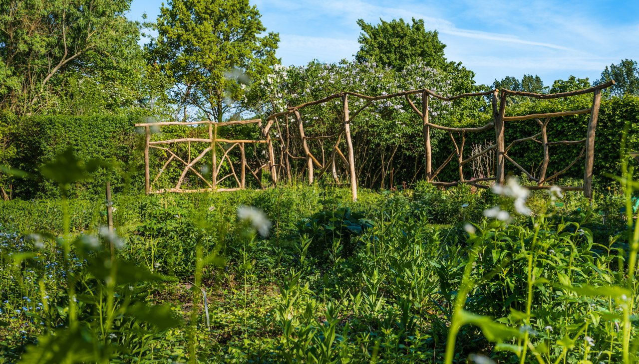 Wangeliner Garten - Einblicke, © TMV/Tiemann Wangeliner Garten - Einblicke, © TMV/Tiemann