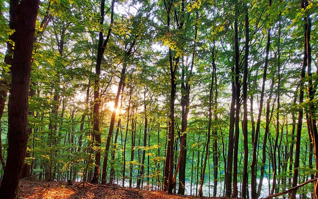 &copy; Britta Kietzmann