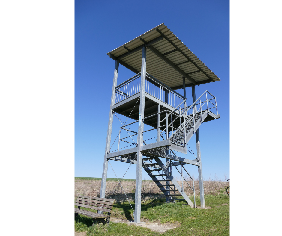 &copy; Waren (M&uuml;ritz)-Information