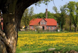 Het Gallin landgoed is een van de grootste biologische boerderijen in Duitsland, © Gut Gallin / Rasim Het Gallin landgoed is een van de grootste biologische boerderijen in Duitsland, © Gut Gallin / Rasim
