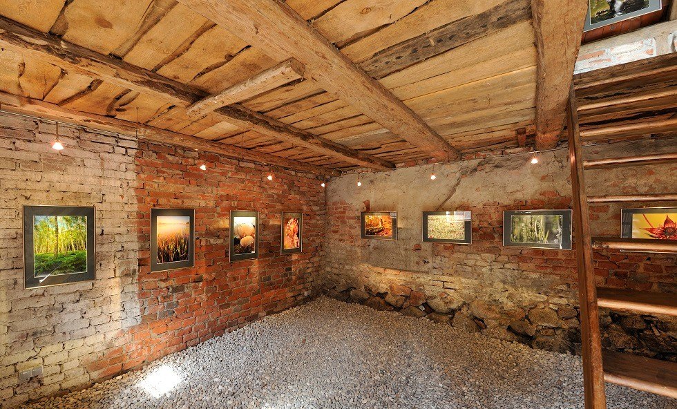 Ausschnitt Naturfoto-Galerie / Erdgeschoss // &copy; RVF Roman-Vitt-Fotografie