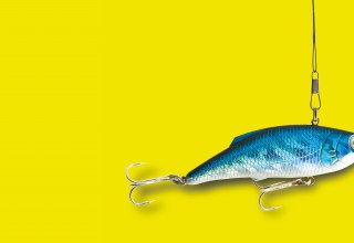 © Volkstheater Rostock