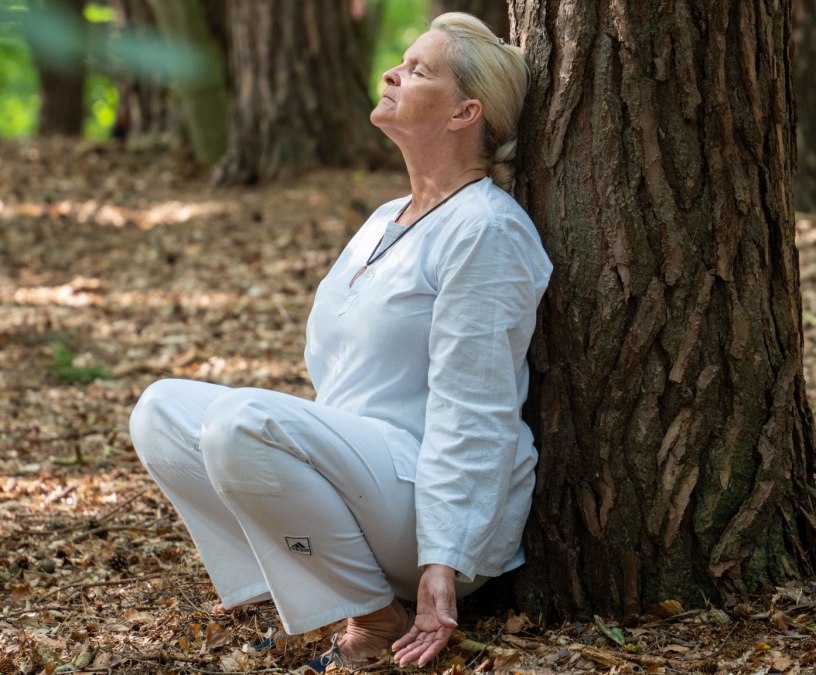 Waldmeditation - meine Auszeit in der Natur Waldmeditation - meine Auszeit in der Natur