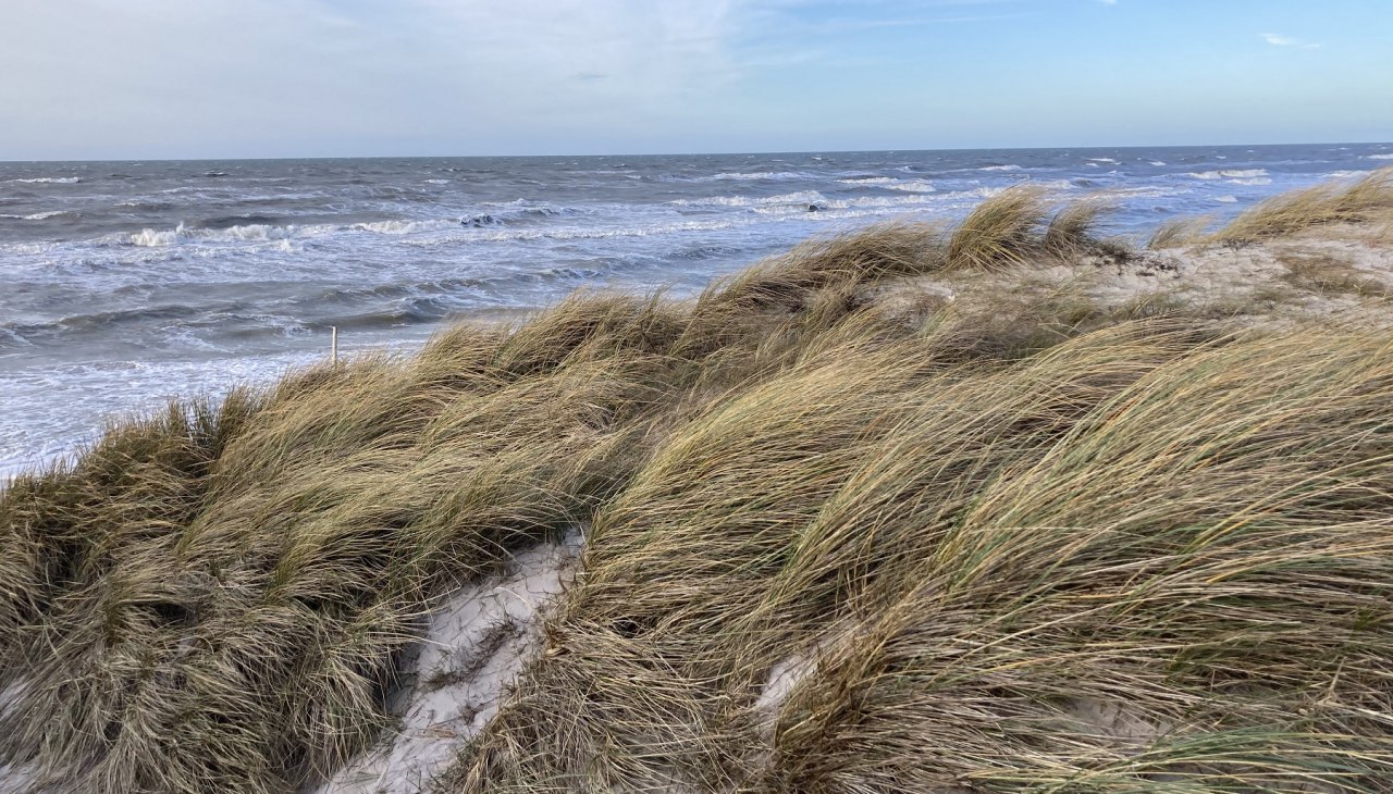 Düne_Ostsee_Strand_KBärwald_1800, © Nationalparkamt Vorpommern Düne_Ostsee_Strand_KBärwald_1800, © Nationalparkamt Vorpommern