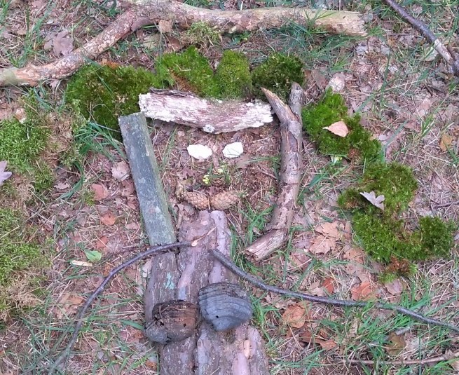 Kreatives Waldbild // &copy; Sabine G&ouml;rmar