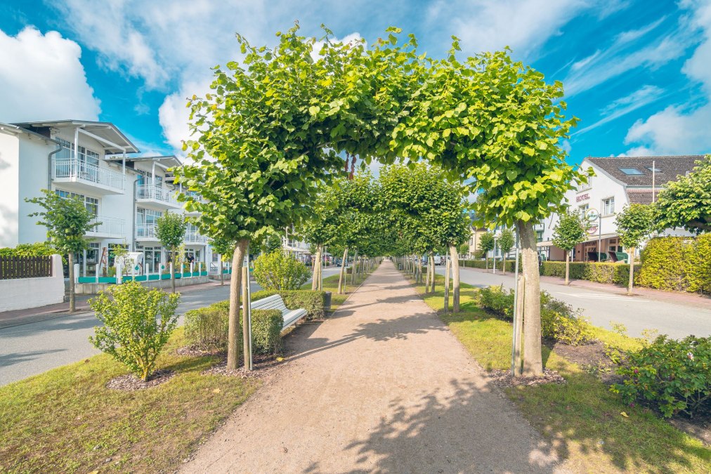 Frühlingswanderung, © Kurverwaltung Ostseebad Baabe Frühlingswanderung, © Kurverwaltung Ostseebad Baabe