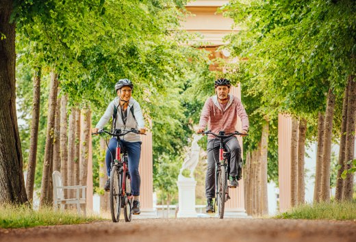 Mit dem Fahrrad durch Neustrelitz - ein Paar f&auml;hrt durch eine Allee