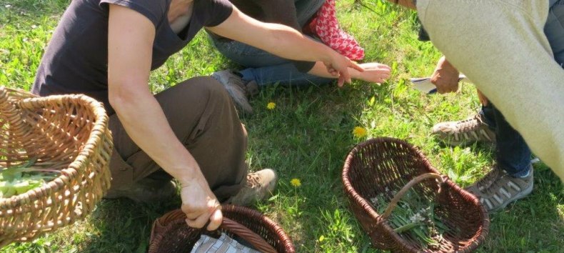 &copy; Gemeinde Ostseebad Glowe