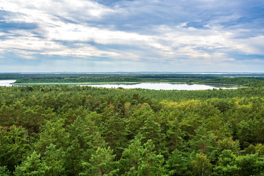 Naturbeobachtung in der Mecklenburgischen Seenplatte, &copy; TMV/Tiemann