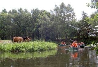 Naturidylle auf der Alten Elde, © Lewitzcamp Garwitz Naturidylle auf der Alten Elde, © Lewitzcamp Garwitz