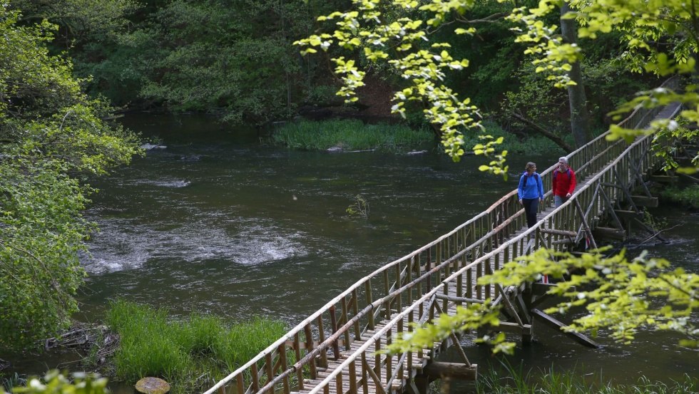 Holzbr&uuml;cke im Naturschutzgebiet Durchbruchstal der Warnow und Mildenitz, &copy; TMV/outdoor-visions.com
