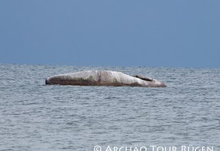 mitten in der Ostse liegt der "Buhskam" // © Archäo Tour Rügen mitten in der Ostse liegt der "Buhskam" // © Archäo Tour Rügen