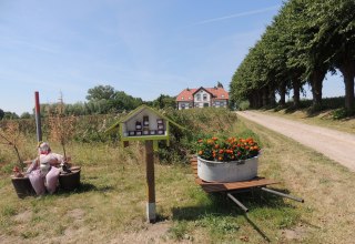 Blick auf die Zufahrt nach Einhusen // &copy; Kurverwaltung Insel Poel