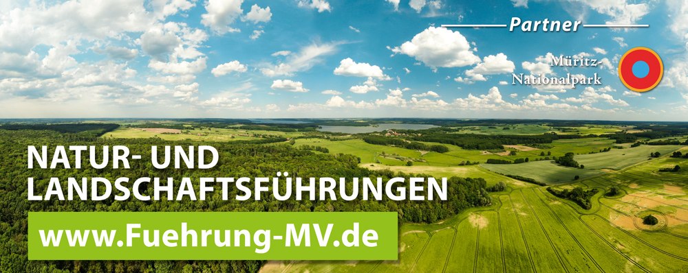 &copy; Martins Zweiradservice