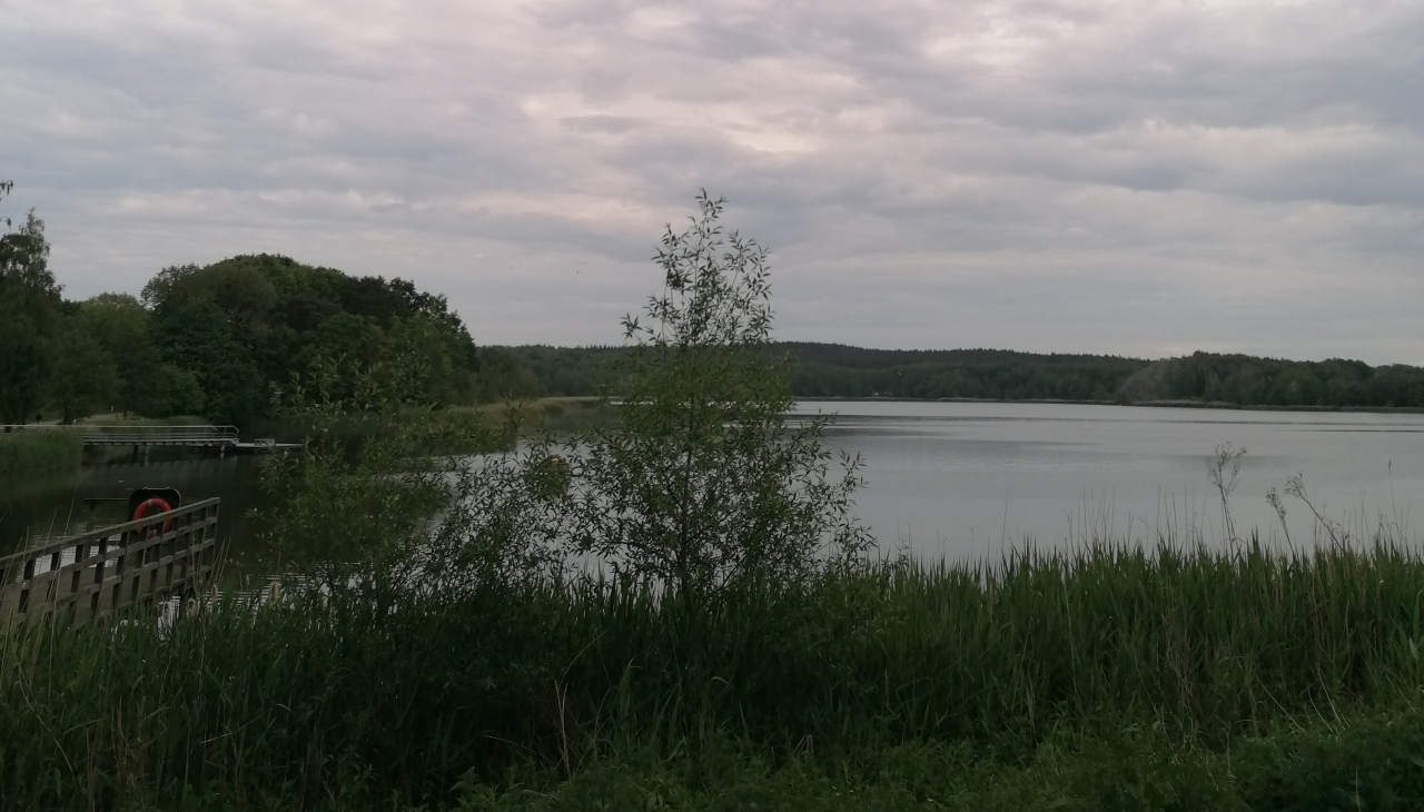 Mittsommer auf Usedom - Livemusik - Helene meets Elvis, &copy; IMG_20240518_165815.jpg