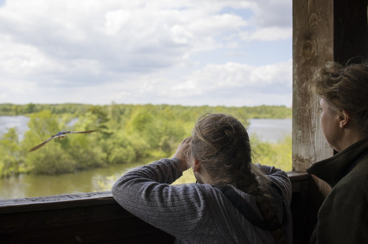 © Kartheuser © Kartheuser