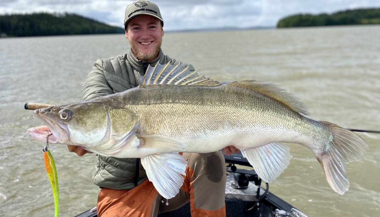 MV Guiding - Moritz Schulz, © Moritz Schulz MV Guiding - Moritz Schulz, © Moritz Schulz