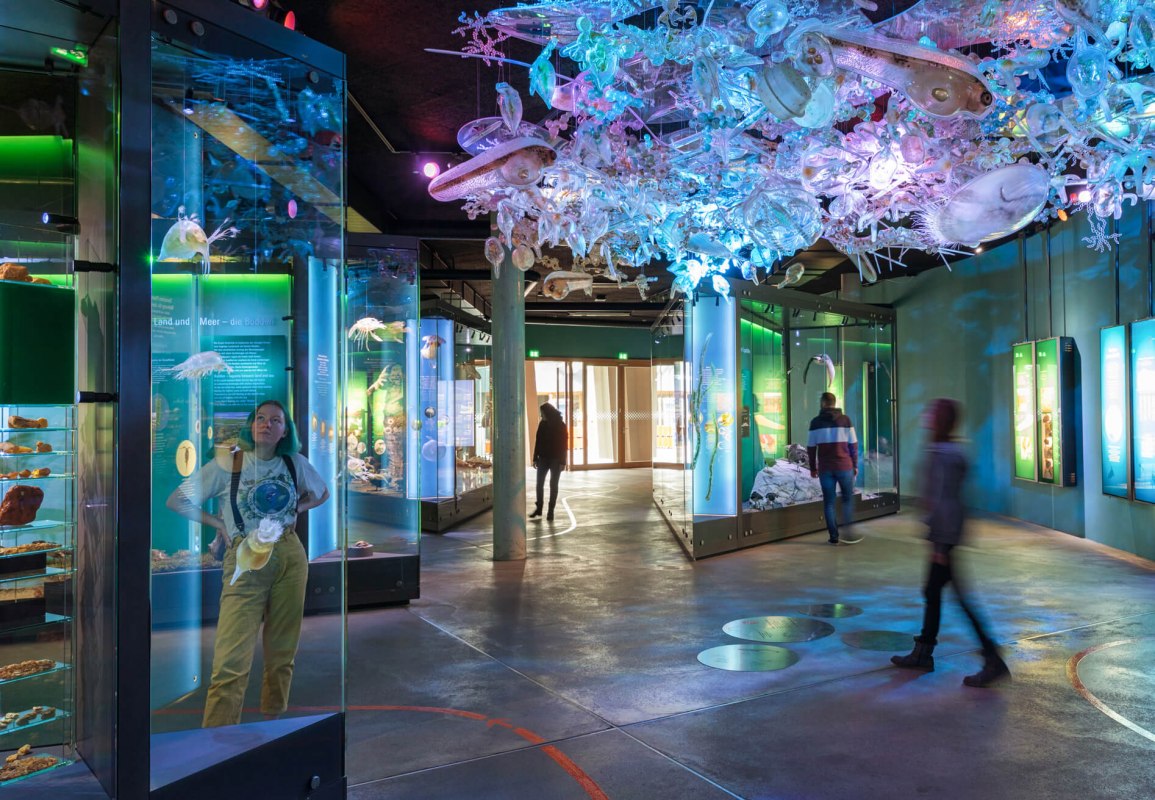 Die Ostsee-Ausstellung mit Planktonwolke im OZEANEUM // © Anke Neumeister/Deutsches Meeresmuseum Die Ostsee-Ausstellung mit Planktonwolke im OZEANEUM // © Anke Neumeister/Deutsches Meeresmuseum