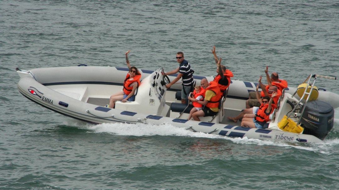 Emma the Ribeye, &copy; Ostsee-Cruising