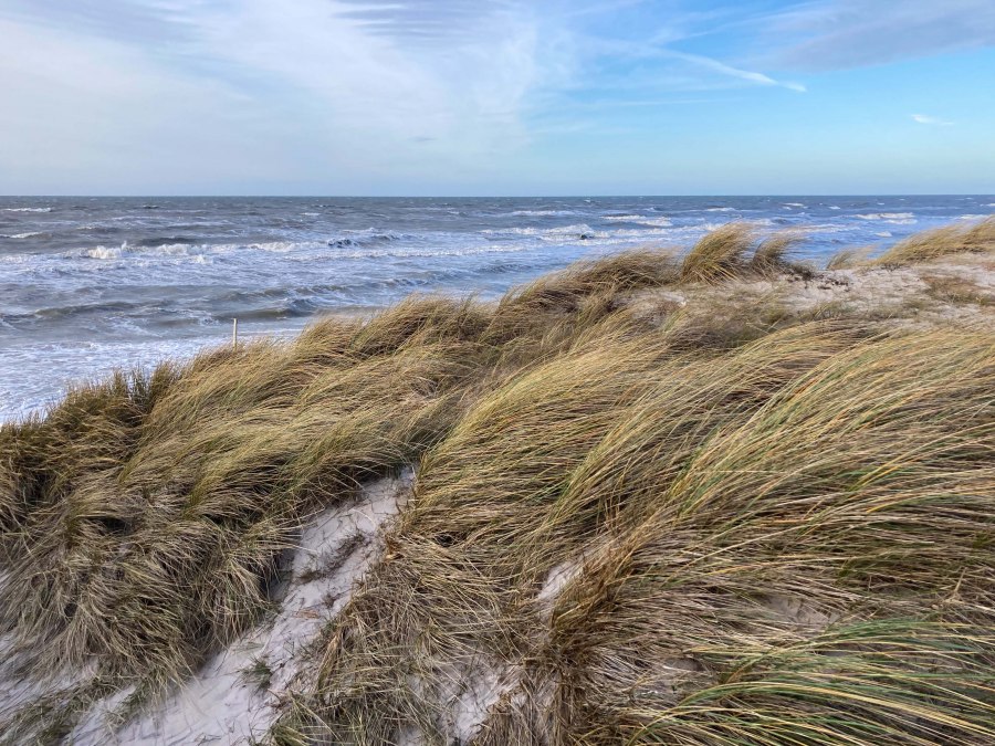 Exkursion_K&uuml;stendynamik_KB&auml;rwald, &copy; Nationalpark Vorpommern/ K.B&auml;rwald