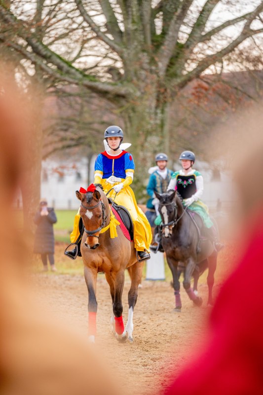 Weihnachtsmarkt Landgestüt Redefin, © Sarina Bruhn Weihnachtsmarkt Landgestüt Redefin, © Sarina Bruhn