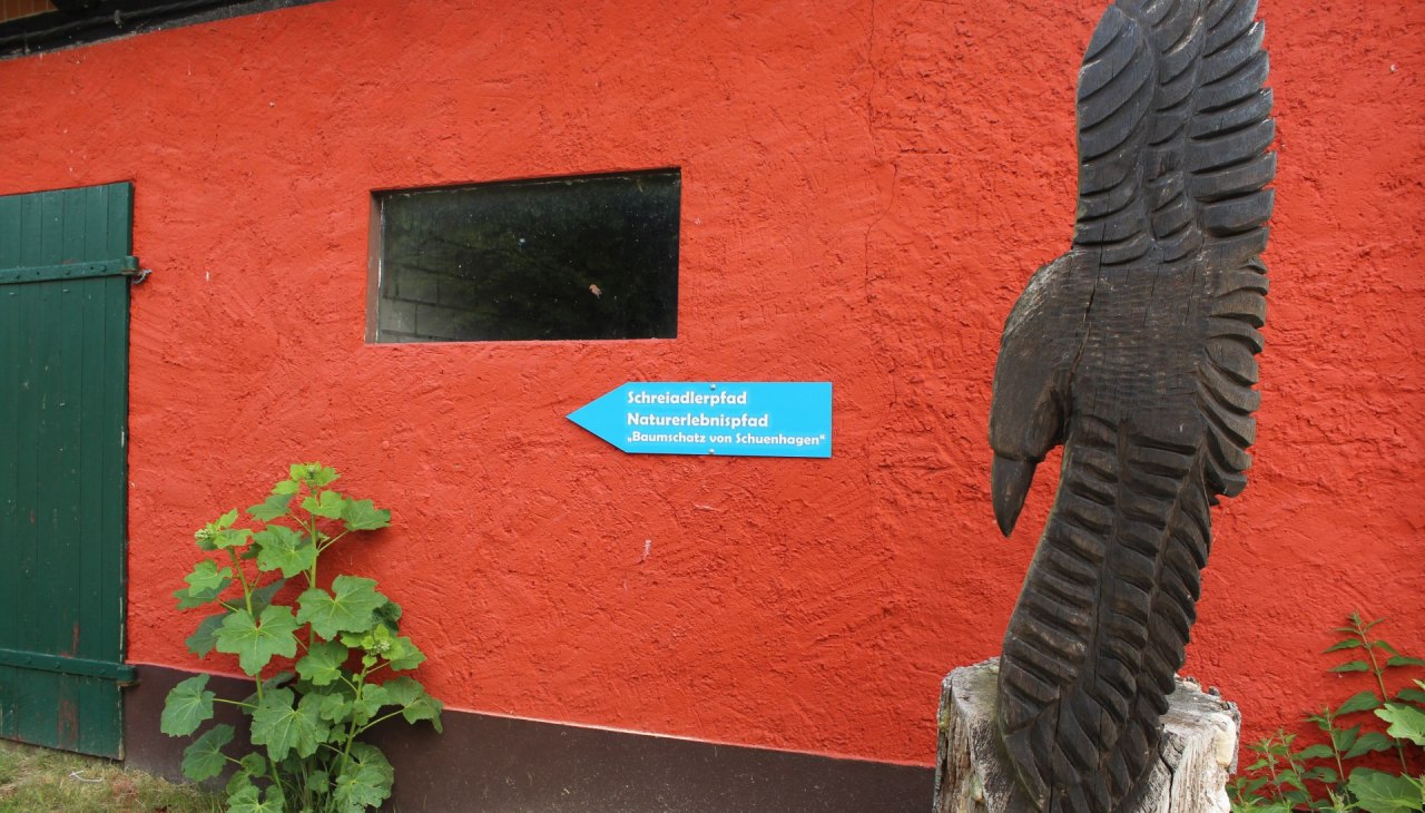 Blaue Pfeile führen zum Beginn des Lehrpfades hinter dem Forstamt, © Liv E. Ipsen Blaue Pfeile führen zum Beginn des Lehrpfades hinter dem Forstamt, © Liv E. Ipsen