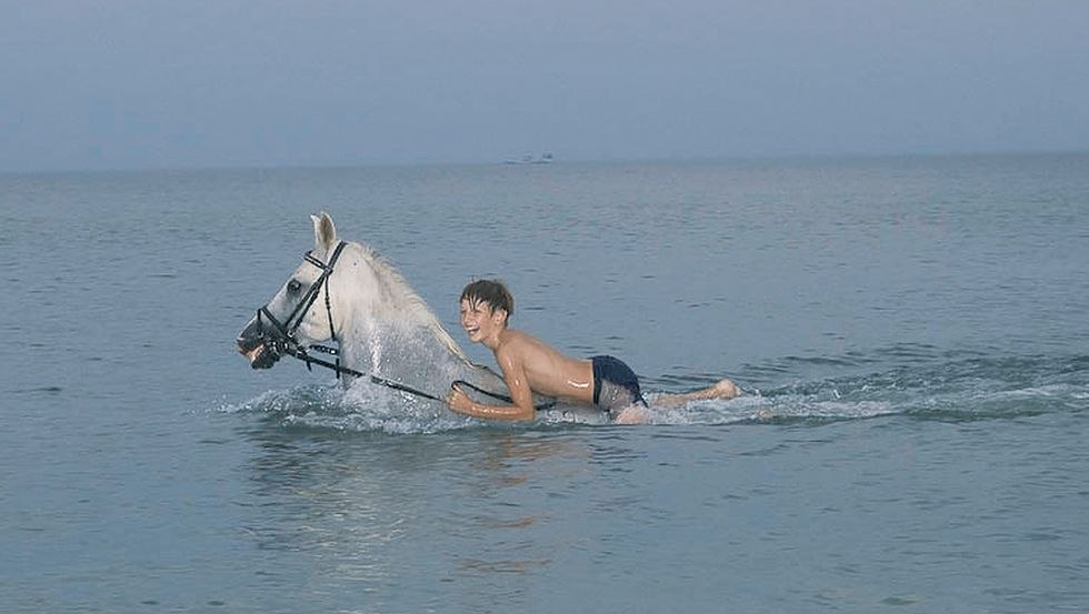 Mit dem Pferd im kühlen Nass zu schwimmen ist der Traum vieler Reiter- hier wird er wahr! // © Reitstall Stuthof Mit dem Pferd im kühlen Nass zu schwimmen ist der Traum vieler Reiter- hier wird er wahr! // © Reitstall Stuthof