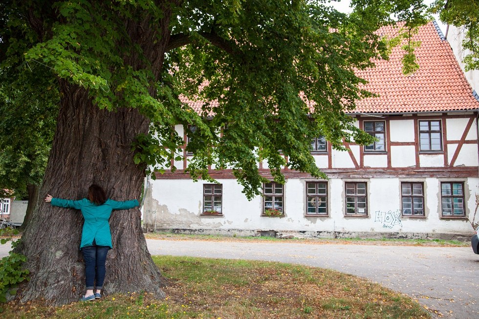 Klostergebäude mit Linde // © Frank Burger Klostergebäude mit Linde // © Frank Burger