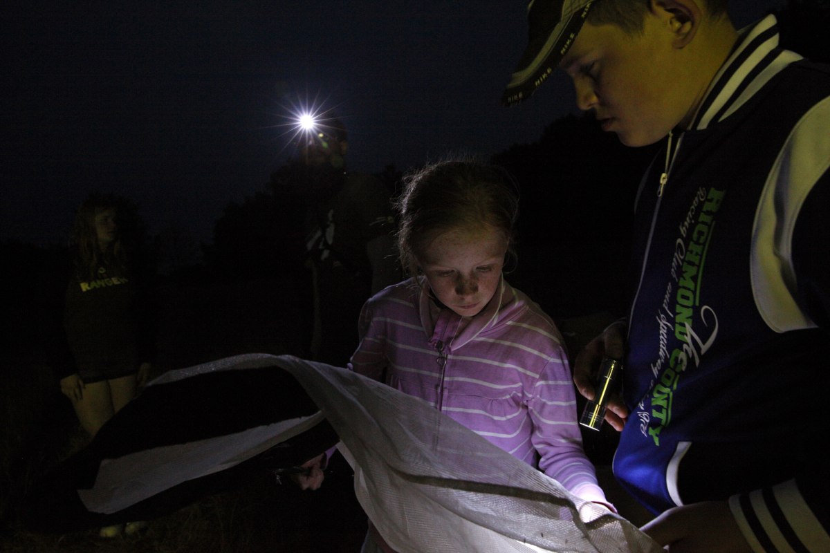 Spannendes Nachtfalterkino, © Biosphärenreservatsamt Schaalsee-Elbe Spannendes Nachtfalterkino, © Biosphärenreservatsamt Schaalsee-Elbe