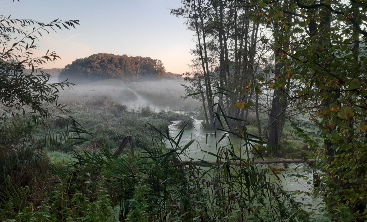 &copy; Andreas Ermisch