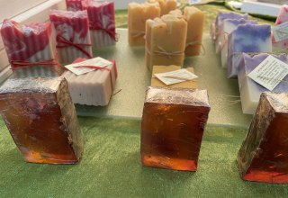 &copy; TZ S&uuml;dliche Boddenk&uuml;ste