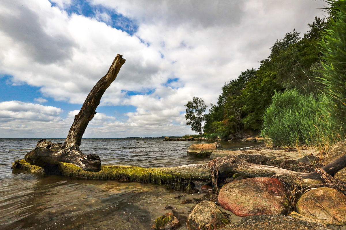 © MV-T/Gohlke © MV-T/Gohlke