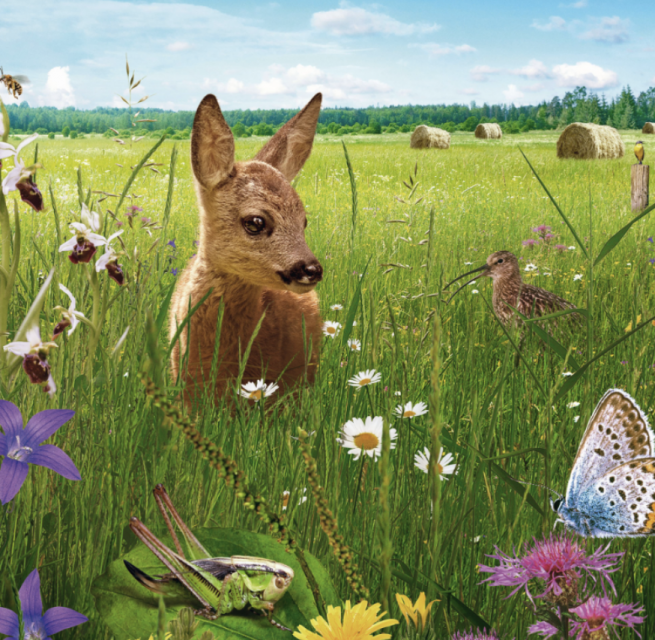 &copy; Basiskulturfabrik GmbH