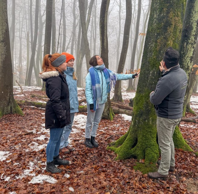 © Nationalpark-Zentrum KÖNIGSSTUHL © Nationalpark-Zentrum KÖNIGSSTUHL