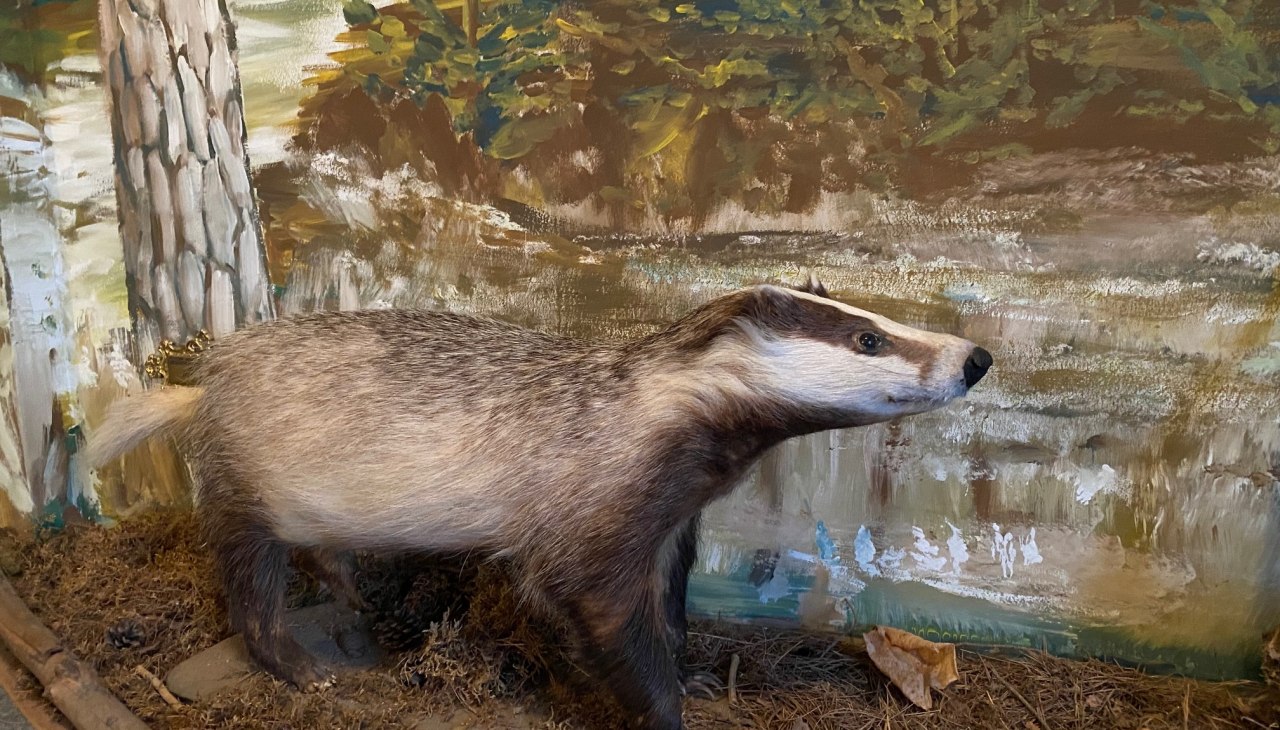 Heimatstube, © Amt Mecklenburgische Kleinseenplatte Heimatstube, © Amt Mecklenburgische Kleinseenplatte