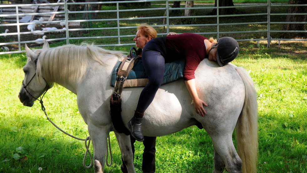 In het Art.Quartier in Starkow wordt rugtransplantatie op paarden beoefend. // &copy; Anne Hille