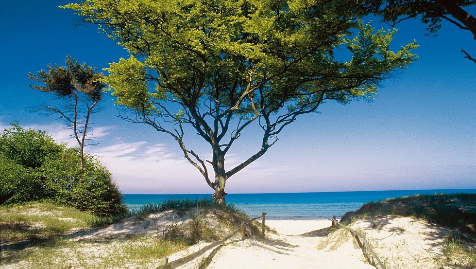 Karibisches Flair am Darßer Weststrand, Fischland-Darß-Zingst // © MV-T/Voigt & Kranz Karibisches Flair am Darßer Weststrand, Fischland-Darß-Zingst // © MV-T/Voigt & Kranz