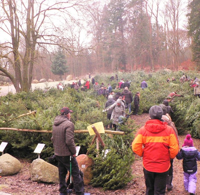 © (c) Kurverwaltung Ückeritz © (c) Kurverwaltung Ückeritz