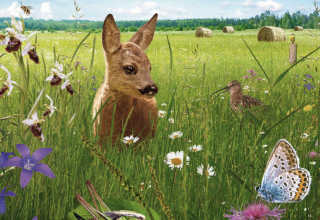 © Basiskulturfabrik GmbH © Basiskulturfabrik GmbH