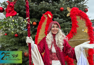 © https://www.goehren-lebbin.com/veranstaltungen/land-fleesensee-weihnachtsmarkt-1