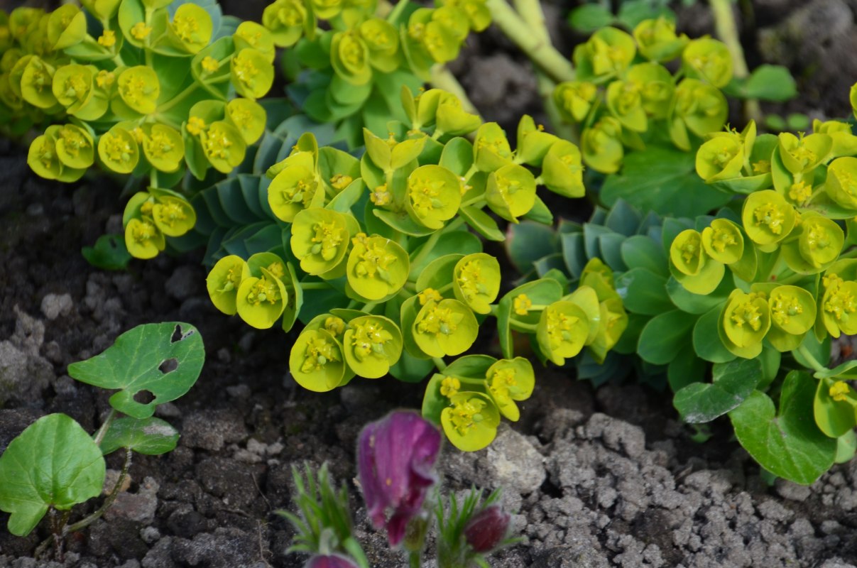 &copy; Tourismusverband Vorpommern e.V.